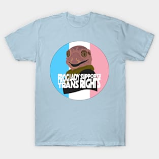 Frog Lady Supports Trans Right T-Shirt